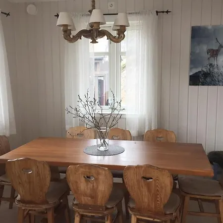 Moderne Pa Lemonsjoen I Jotunheimen