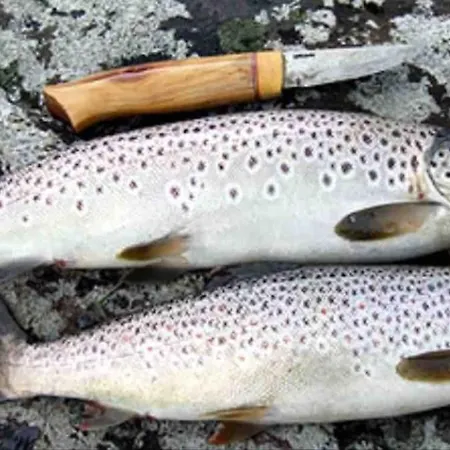 Moderne Pa Lemonsjoen I Jotunheimen Holiday home Randsverk
