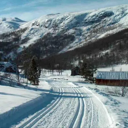 Moderne Pa Lemonsjoen I Jotunheimen *