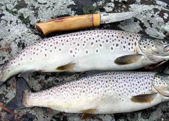 In & Out Pa Lemonsjoen I Jotunheimen Дом отдыха Randsverk