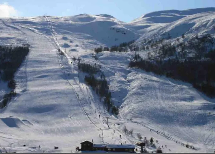 In & Out Pa Lemonsjoen I Jotunheimen Дом отдыха *